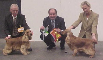 International Show in Stockholm, "DOG-2000"