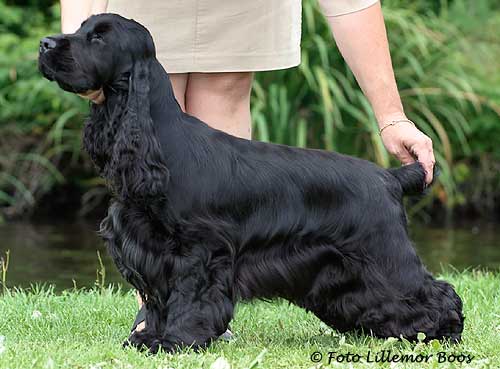 greta_3028_500.jpg